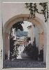Postal Ilustrado da Rua do Arco em Constância