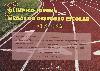 Diploma de participação do 19º Olímpico Jovem e 1º Megas do Desporto Escolar realizado em 10 de Março de 2012 no Estádio Municipal de Abrantes