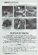 Boletim Informativo N.º 59