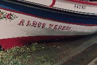 Alhos Vedros