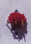Vermelho e Oiro