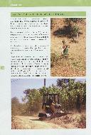 Boletim Informativo Nº. 130