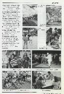 Boletim Informativo N.º 45