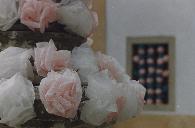 São Rosas Senhor São Rosas