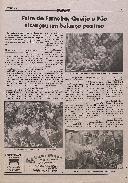 Gazeta do Tejo - Bimensário Regionalista Para Os Concelhos de Abrantes, Gavião e Sardoal: Ano XI, nº 248