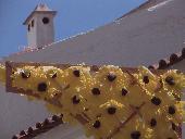 Cor do Sol