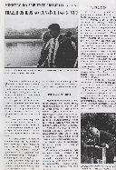 Boletim Informativo N.º 4