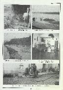 Boletim Informativo N.º 36