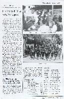Boletim Informativo N.º 44