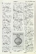 Boletim Informativo N.º 25